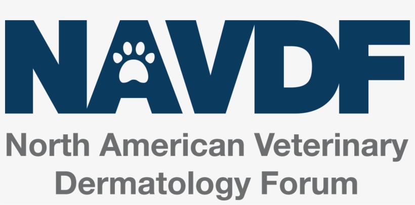 Picture - Suitable For (3d Printer): German Reprap Protos V2, transparent png #3704430