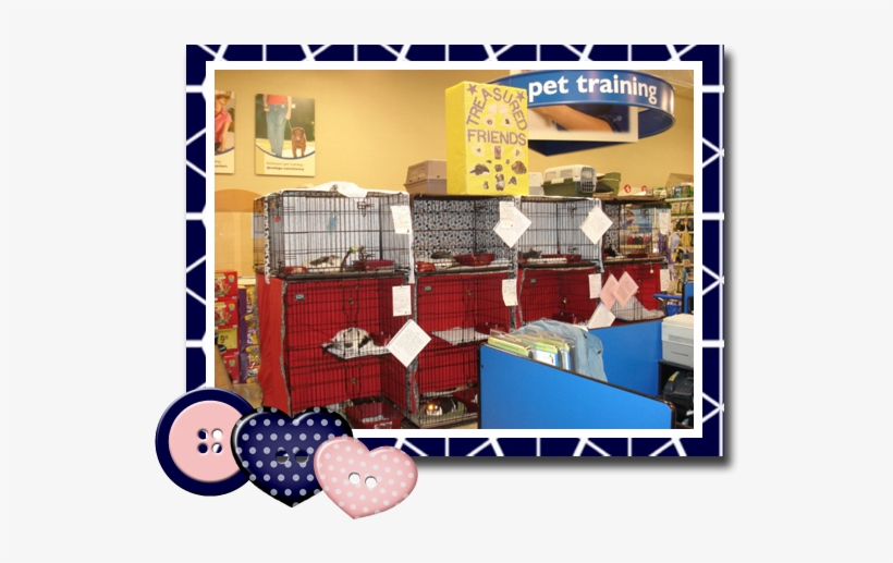 Dogs - Indiana, transparent png #3706447