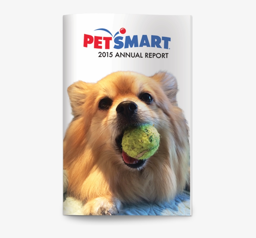 Petsmart Annual Report - Companion Dog, transparent png #3706535