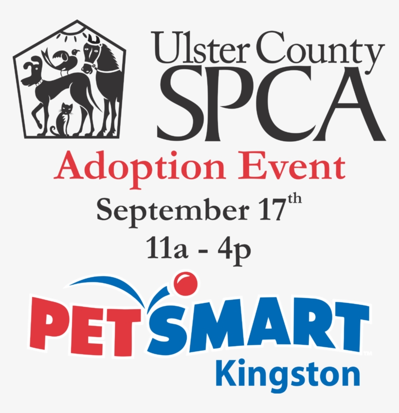 17 Adoption Event - Toys R Us Lazer Bot, transparent png #3706686