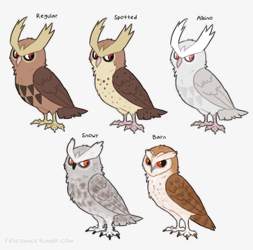 B38 - Noctowl Variations, transparent png #3708183