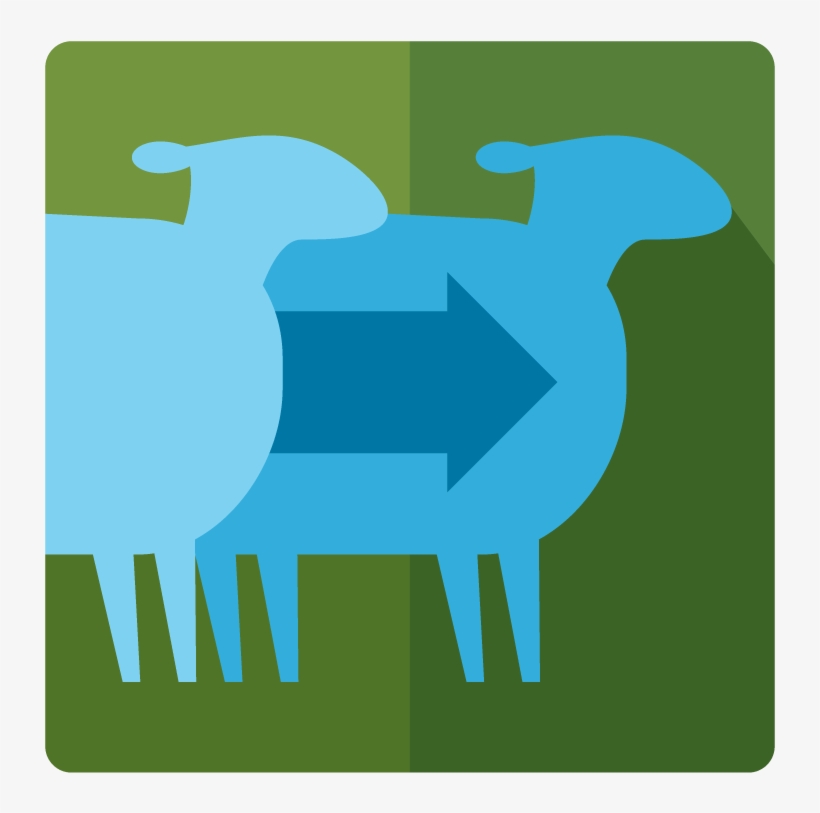 Clone - Types Of Plagiarism Icon, transparent png #3708393