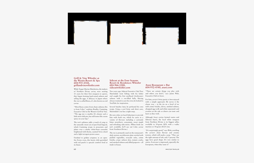 Brochure, transparent png #3710981