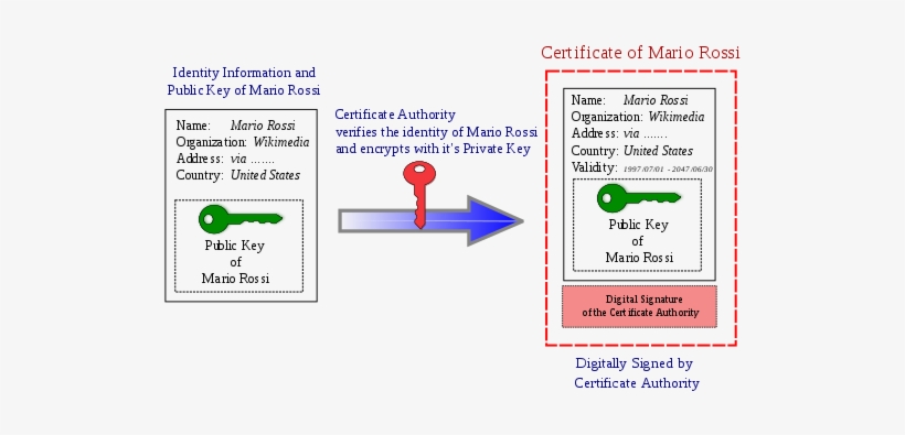 Obtain A Digital Certifacte From An Authority Digital - Public Key Certificate, transparent png #3712293