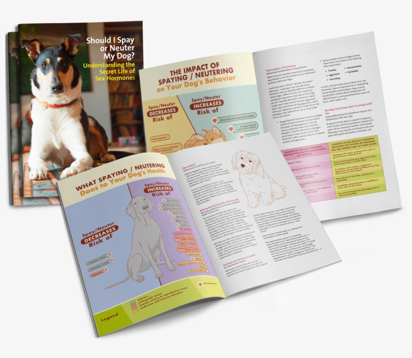 Tap To Expand - Dog, transparent png #3713772