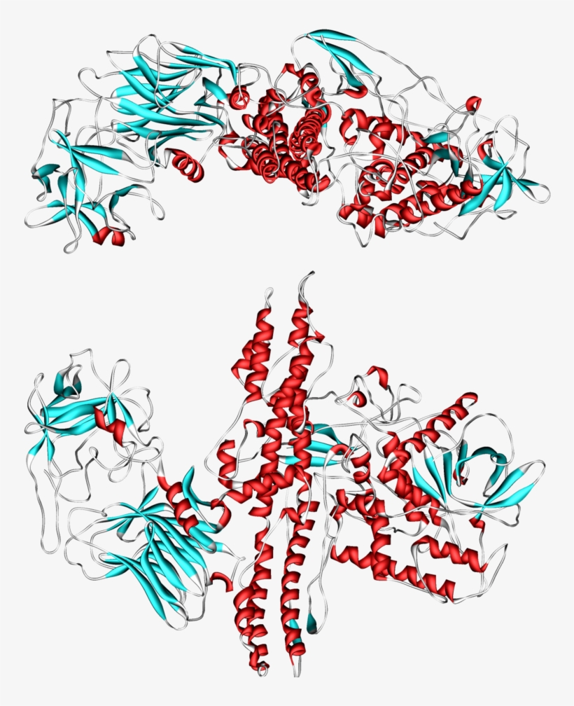 Botulinum Toxin - - Botulinum Toxins And Botulism, transparent png #3713958
