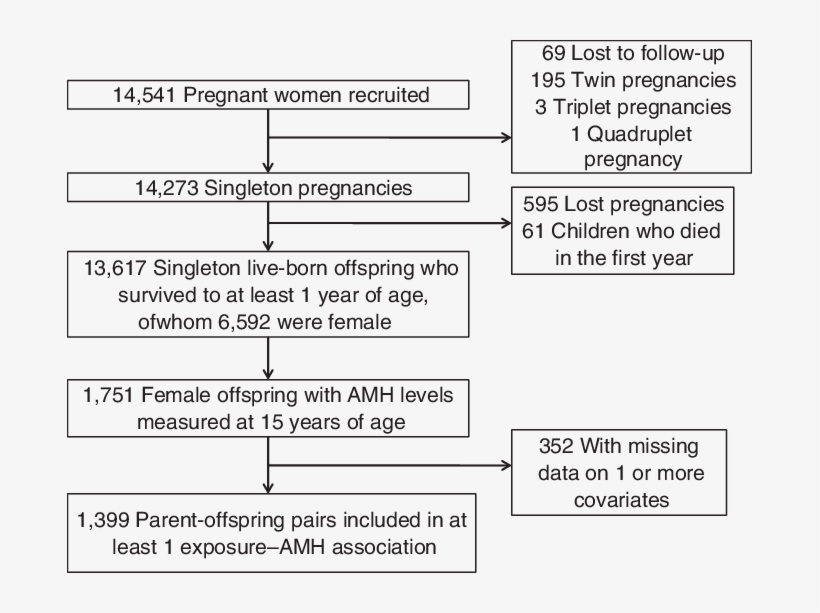 Study Population Flow Chart, The Avon Longitudinal - Avon Longitudinal Study Of Parents And Children, transparent png #3714135