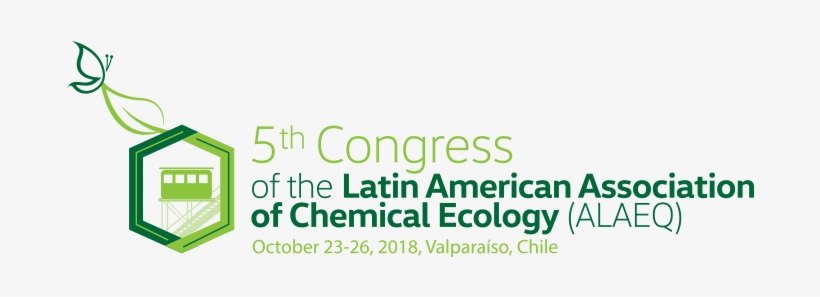 Latin American Association, transparent png #3715311