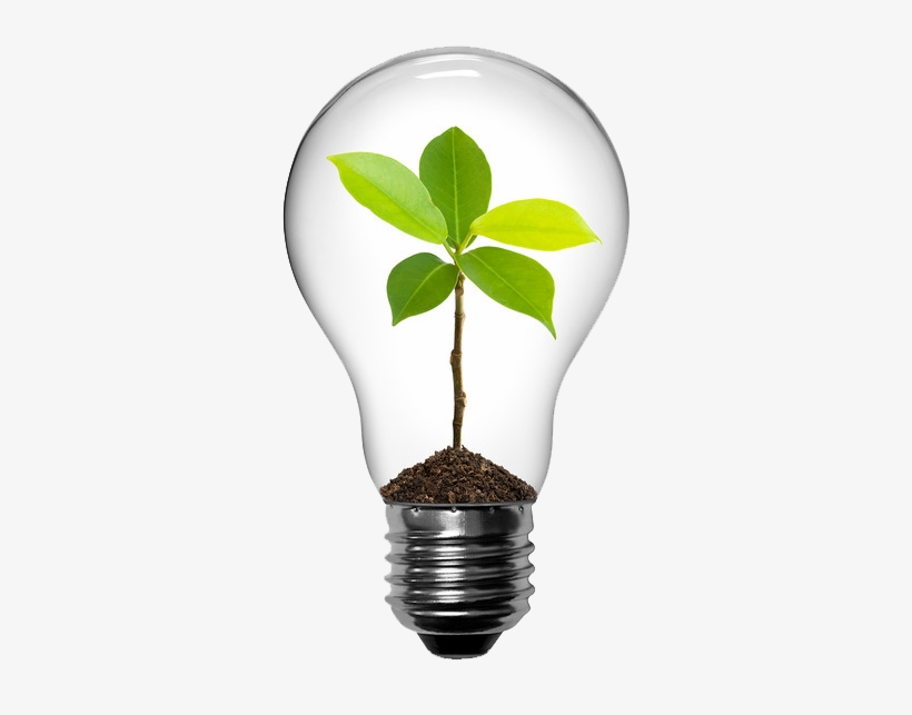 Save Energy - Save Earth - Light Bulb With Plant, transparent png #3715751