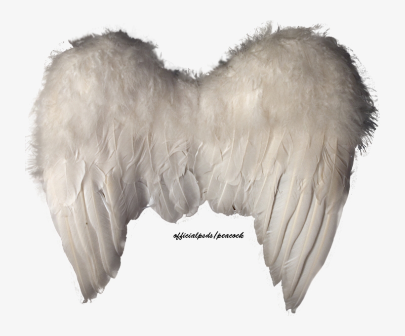 Share This Image - Angel Wings Psd, transparent png #3716201