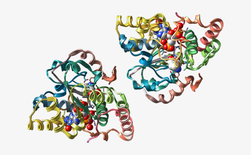 320 × 213 Pixels - Sult1a3, transparent png #3717248