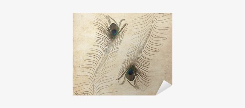 Textured Old Paper Background With Peacock Feather - Paper, transparent png #3717570