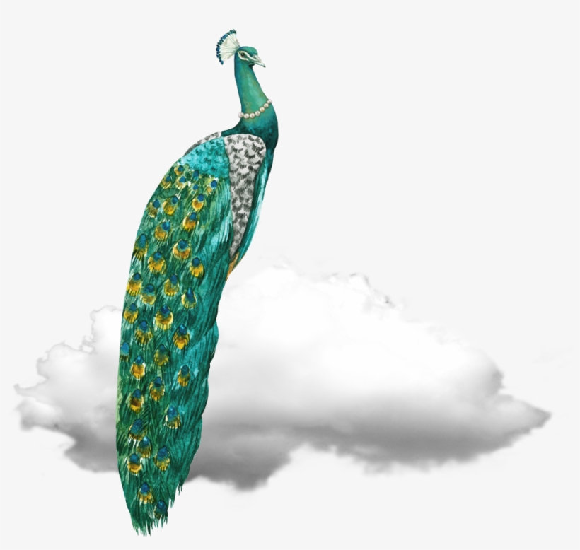 Jeff's Inspirations - “ - Aquarelle Paon, transparent png #3717601
