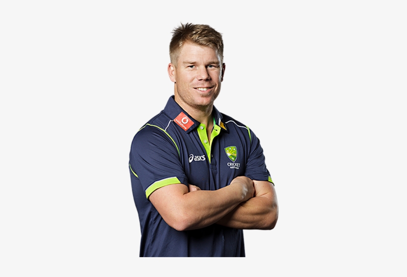 David Warner - Cricket, transparent png #3717603