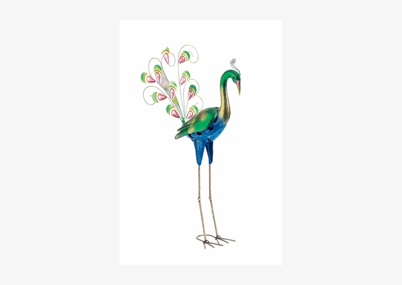 Decorative Garden Bird, Peacock - Lidl Flamingo, transparent png #3717676