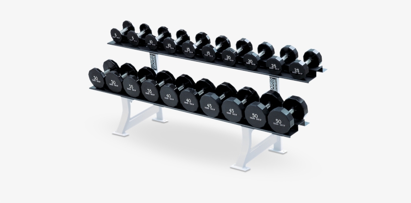 Fitness Therapy - Hammer Strength Dumbbell Rack, transparent png #3718548