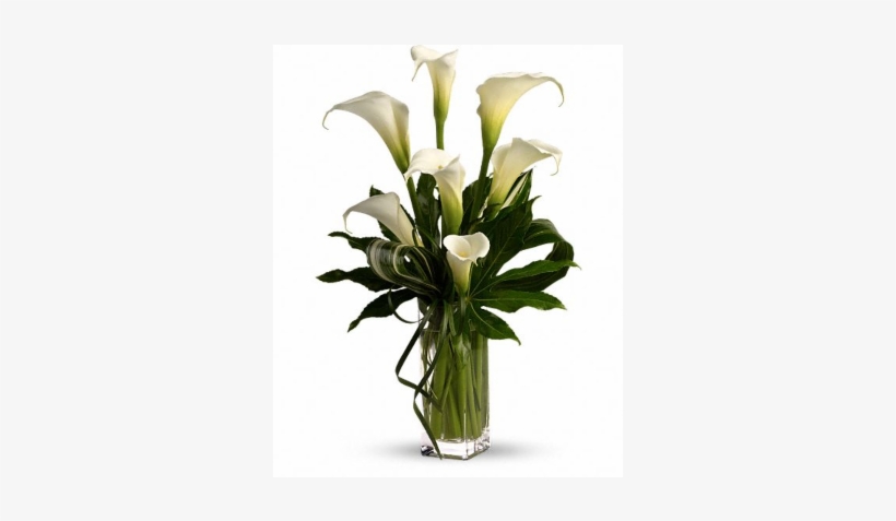 Stately Callas - White Calla Lily Flower Bouquet, transparent png #3719284