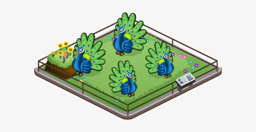 Peacock Family - Lawn, transparent png #3719730