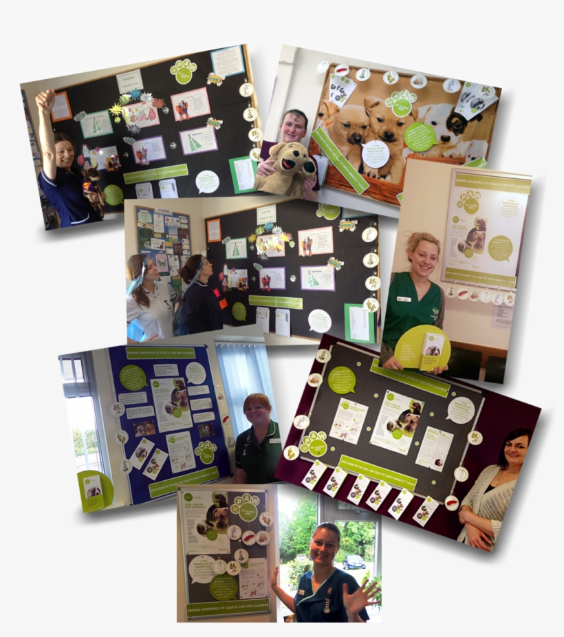 Paw Collage Display - Collage, transparent png #3719826