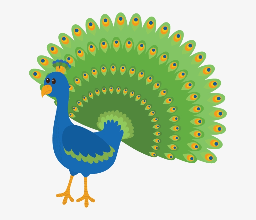 Peacock - Peacock P - Free Transparent PNG Download - PNGkey