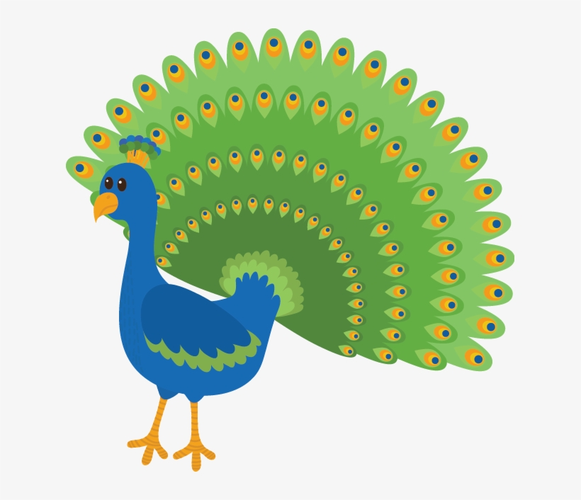 Peacock - Peacock P, transparent png #3719850