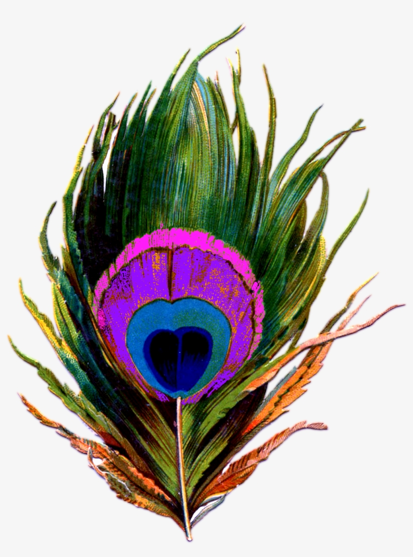 Peacock-feather Png - Png Mayur Pankh, transparent png #3720222