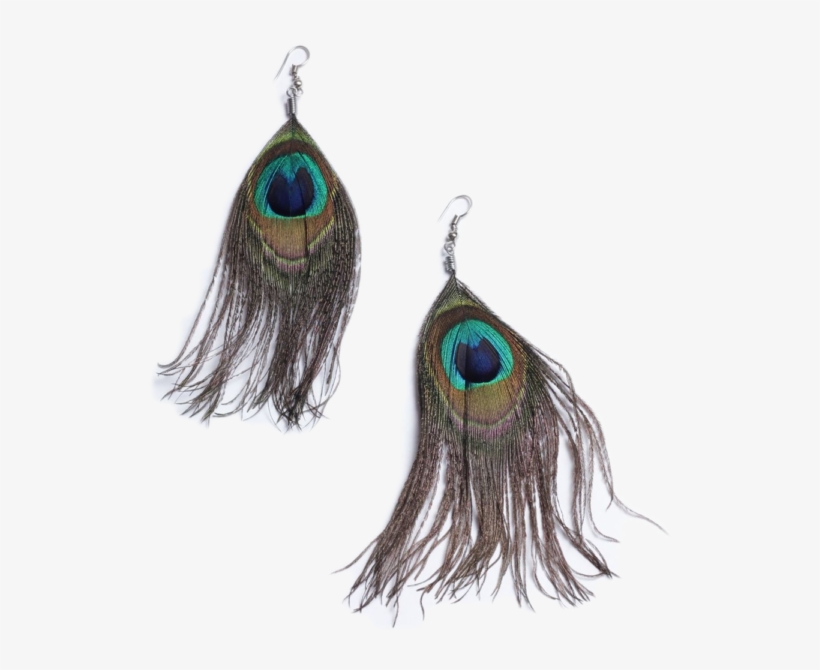 African Peacock Feather Hook Earrings - Earrings, transparent png #3720283