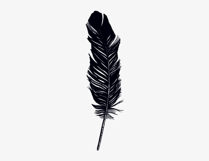 Feather - Tattly Temporary Tattoos - Remix One - Set Of 8, Black, transparent png #3720284