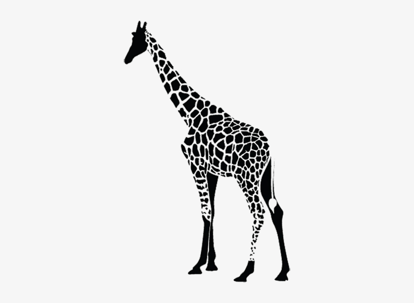 Enter The Black Giraffe Dancing Adventure Raffle To - Giraffe Black And White Png, transparent png #3720314