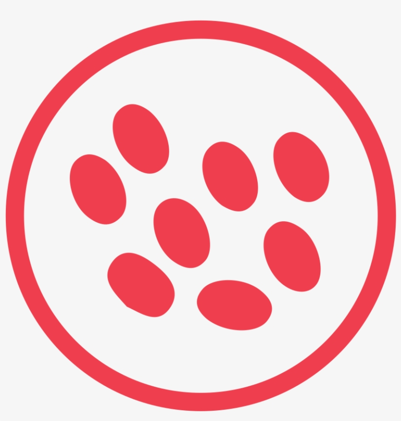 Download Svg Download Png - Sesame Allergy Icon, transparent png #3721936