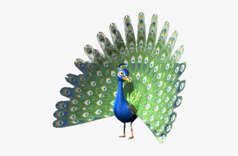 00am, -, - Peafowl, transparent png #3721990