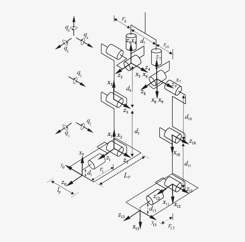 The Multi-body Model And Link Frames Of The Bipedal - Humanoid Robot, transparent png #3722515