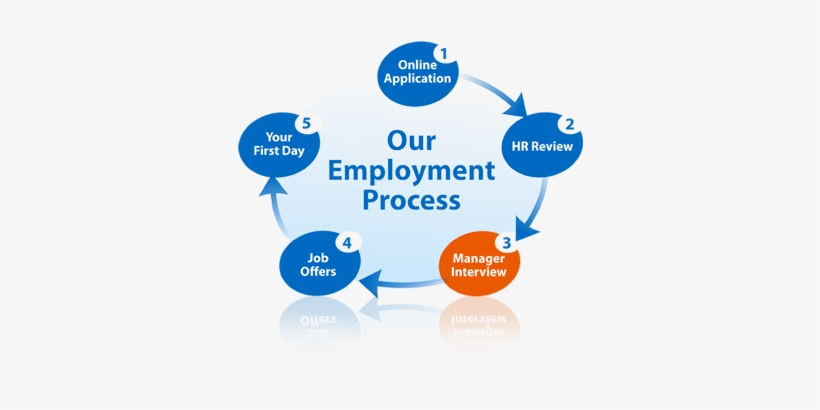 Hiring Manager Interview - Employee Hiring Process, transparent png #3722776