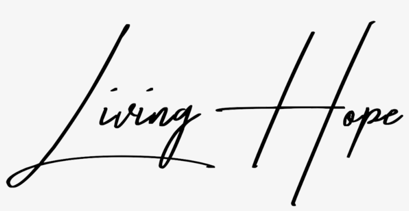 He Has Given Us New Birth Into A Living Hope Through - Photographer, transparent png #3723145