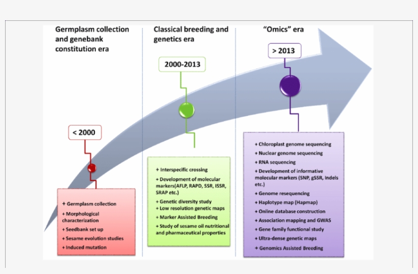 Evolutionary History Of The Scientific Research On - Science, transparent png #3723221