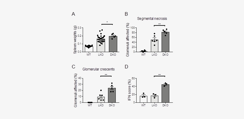 Nataraja, None - Diagram, transparent png #3723662