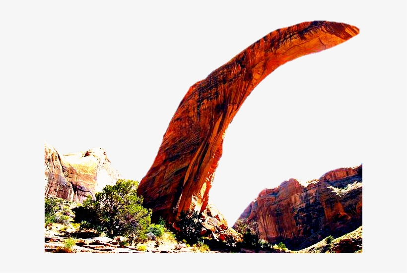 Report Abuse - Pixlr O Matic, transparent png #3723982