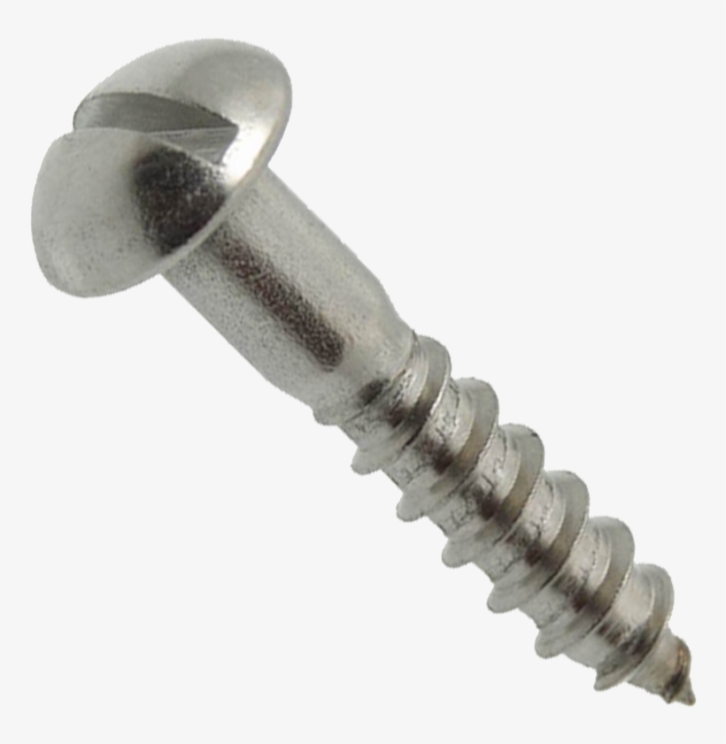 Wholesale Stainless Steel Din 96 Slotted Round Head - Wkręt Do Drewna Z Łbem Kulistym, transparent png #3724184