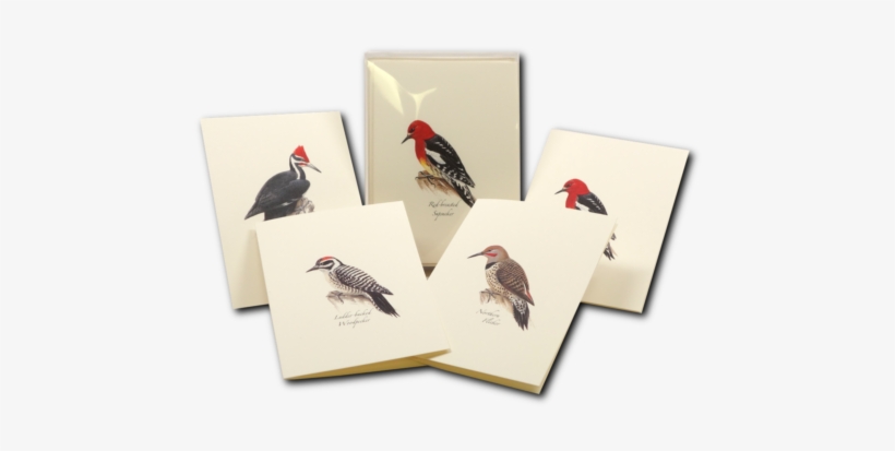 Shopping Cart -  -  - Steven M. Lewers Earth Sky Water Lewersnc107 Peterson, transparent png #3726030