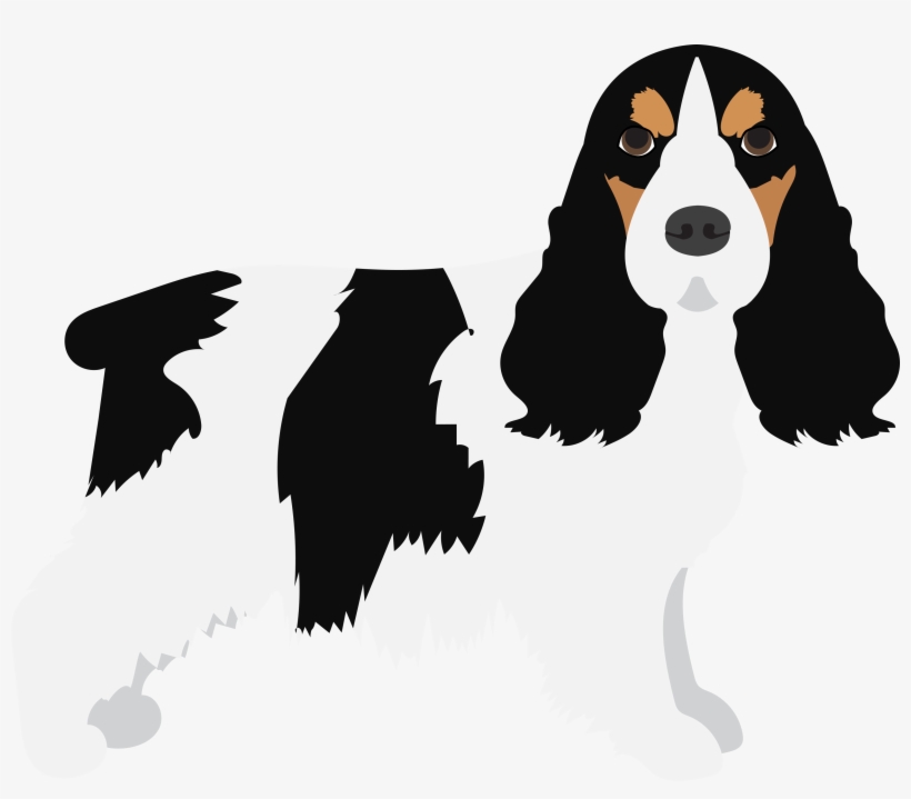 English Cocker Spaniel, transparent png #3726171