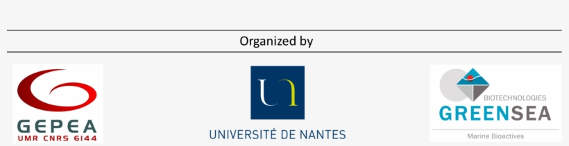 Logos Site Web 23 - University Of Nantes, transparent png #3726547