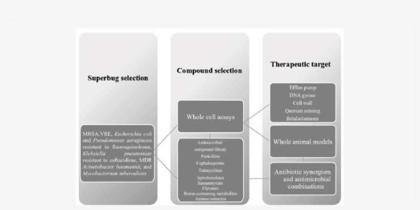 Integrative Model In An Antimicrobial Adjuvant Drug - Architecture, transparent png #3726955