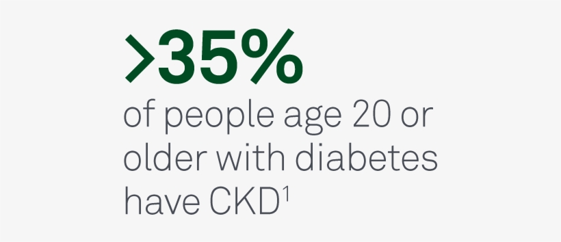 Diabetes Is The Leading Cause Of Chronic Kidney Disease - Chronic Kidney Disease, transparent png #3727310
