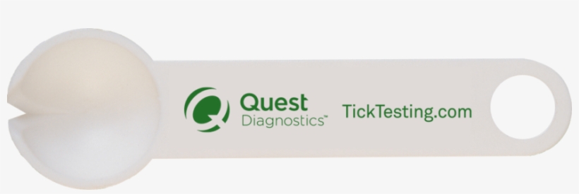 Stay Safe Out There - Banner, transparent png #3727487