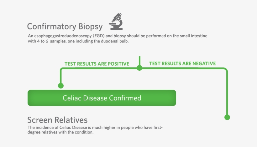 Quest Diagnostics Internal Knowledge Has Determined - Diagram, transparent png #3727636