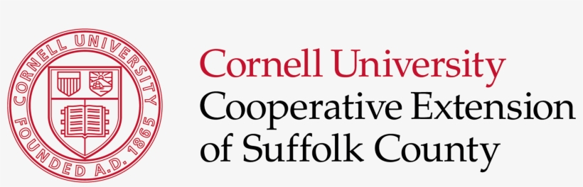 Cce Marine Program's Squid Trawl Projects, transparent png #3727715