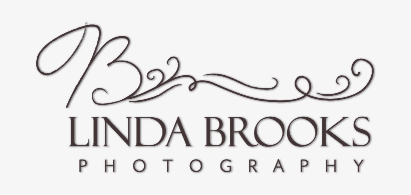 Linda Brooks Photography, transparent png #3728119