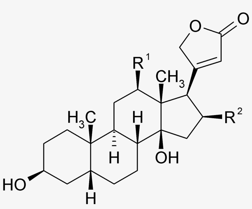 File - Functional Groups In Androstenedione, transparent png #3728293