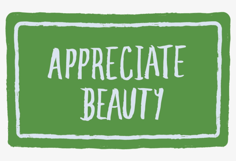 Beautiful Streets Show A Commitment To Making A Place - Street, transparent png #3728932