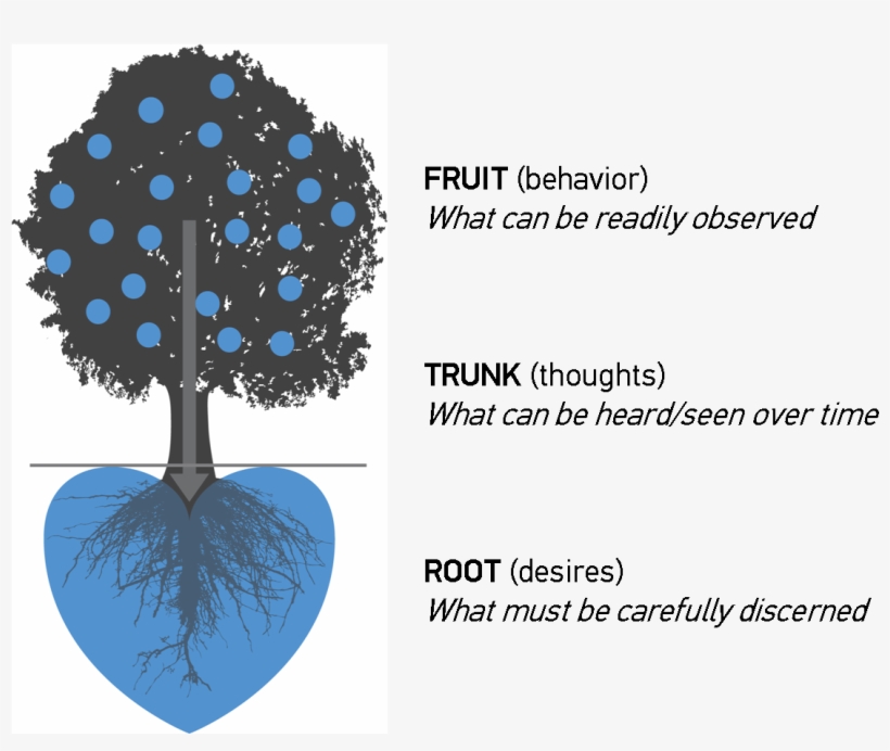 Harvest Tree Heart Diagram - Counseling Psychology, transparent png #3729409